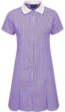 Emmaville Gingham Dress Purple (Banner)