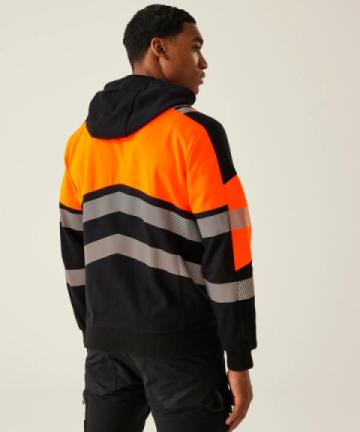 rg479 ls01 20253