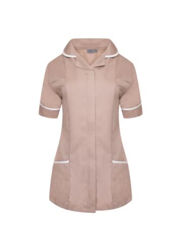 ncltps bisc ncltps bisc