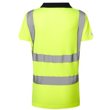 1464 pl01 y leo 1 1 3 1000